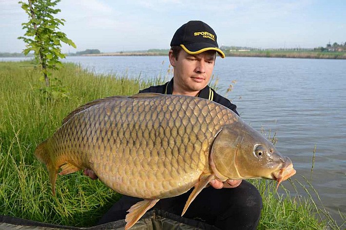 Карпфишинг006